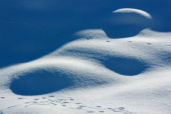 Tierischer Fußabdruck Schnee — Stockfoto