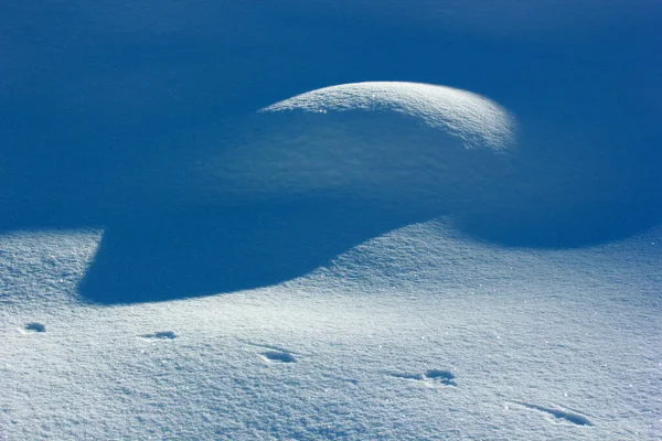 Pegada Animais Neve — Fotografia de Stock