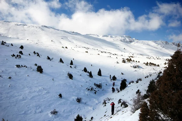 Grupo Montañistas Caminando Por Las Montañas Cubiertas Nieve — Foto de Stock