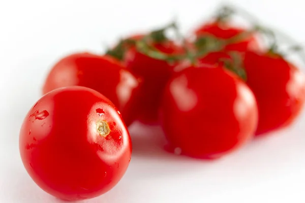 Tomates Cerises Sur Fond Blanc — Photo