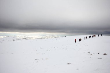 Dağlarda karla kaplı bir grup dağcı yürüyor.