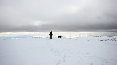 Dağlarda karla kaplı bir grup dağcı yürüyor.