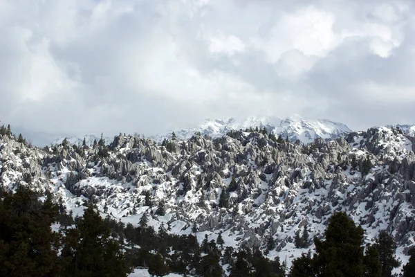 Montañas Cubiertas Nieve Día Nublado — Foto de Stock