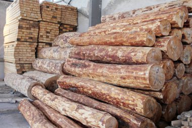 Timber and logs in the storage section.
