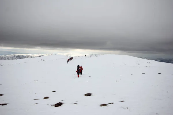 Grupo Montañistas Caminando Por Las Montañas Cubiertas Nieve — Foto de Stock