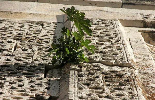 Tallado Piedra Arte Decorativo Egirdir Mezquita Hzr Bey Mezquita Ulu — Foto de Stock