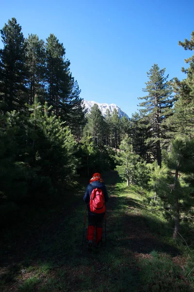 Donna Che Cammina Nella Foresta — Foto Stock