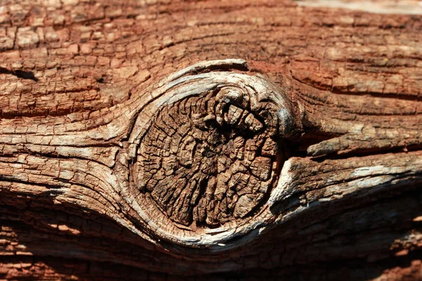 Vieille Planche Bois Avec Noeud Bois Pour Fond Texture — Photo