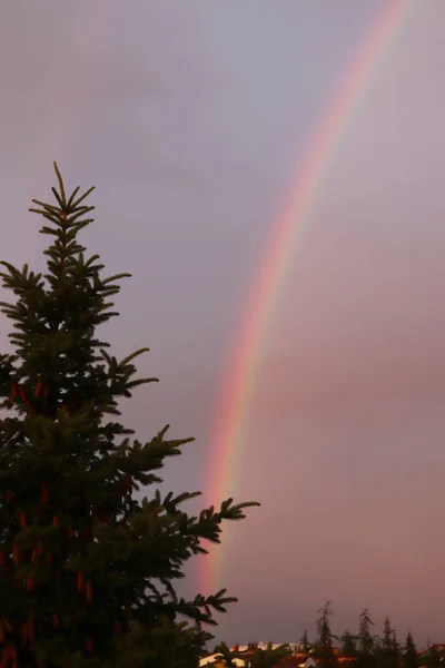 Pino Arcobaleno Nel Cielo Chiuso — Foto Stock