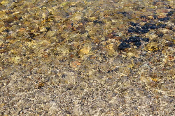 Clear Water Flowing Pebbles Creek — Stock Photo, Image