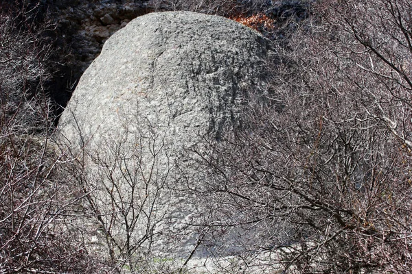 Cespugli Nudi Rocce Sfondo Della Natura — Foto Stock