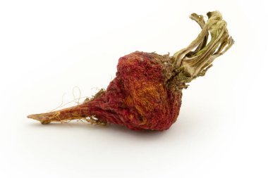 Beyaz arka planda buruşmuş turp.