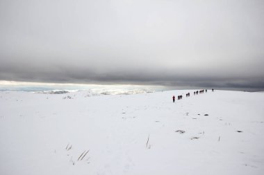 Dağlarda karla kaplı bir grup dağcı yürüyor.