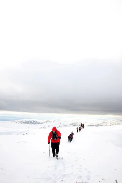 Gruppo Alpinisti Che Camminano Tra Montagne Innevate — Foto Stock