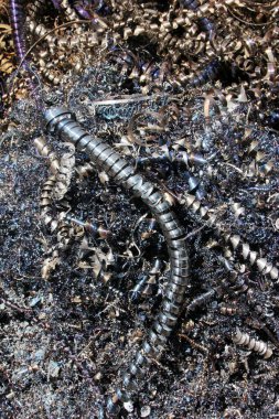 geri dönüşüm maden talaşı