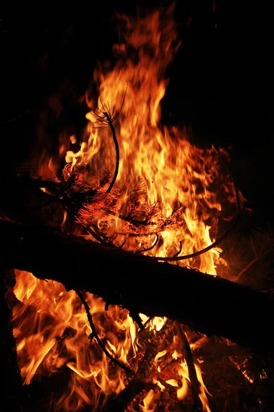 Campfire — Stock Photo, Image