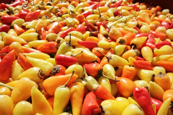 Red and yellow chillis — Stock Photo, Image