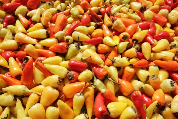 Red and yellow chillis — Stock Photo, Image