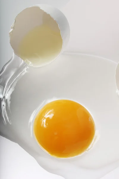 Egg Background — Stock Photo, Image