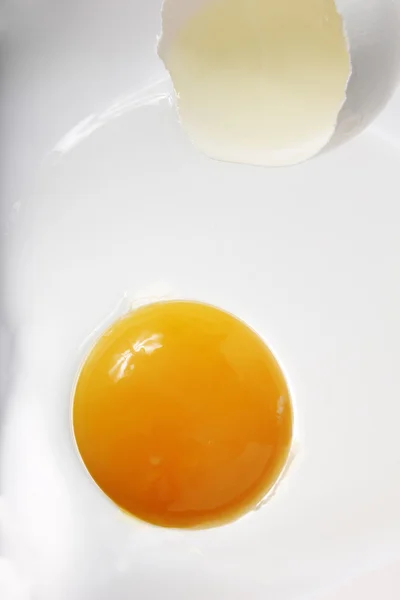 Egg Background — Stock Photo, Image
