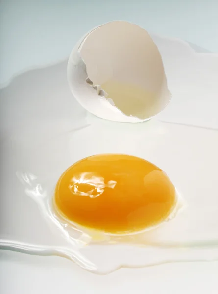 Eggbakgrunn – stockfoto