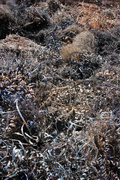 Enano reciclador —  Fotos de Stock