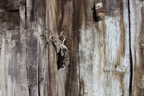 Usa din lemn — Fotografie, imagine de stoc