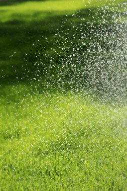 çim sulama yağmurlama