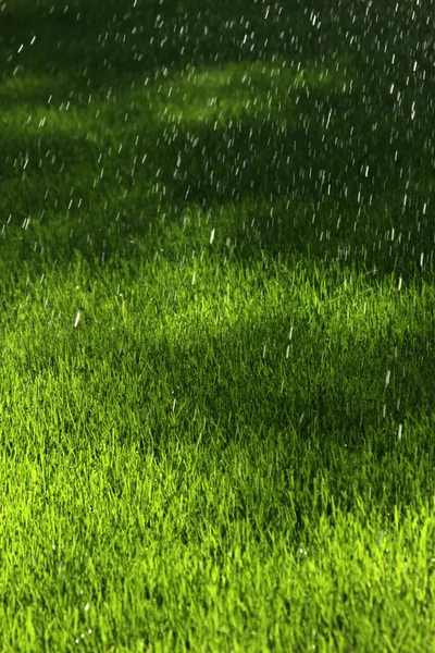 Aspersor regando o gramado — Fotografia de Stock