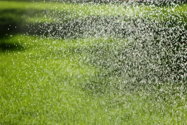 Sprinkler vattna gräsmattan — Stockfoto