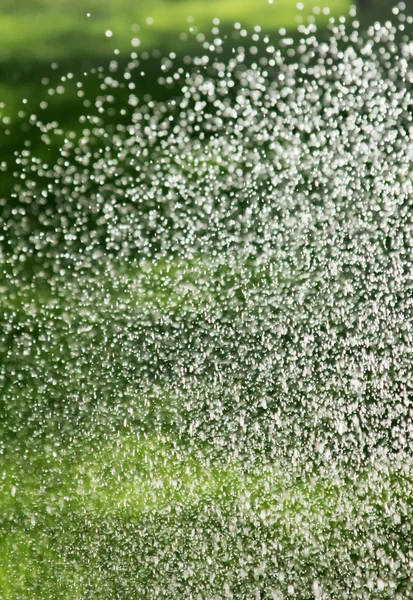 Sprinkler Watering the Lawn — Stock Photo, Image