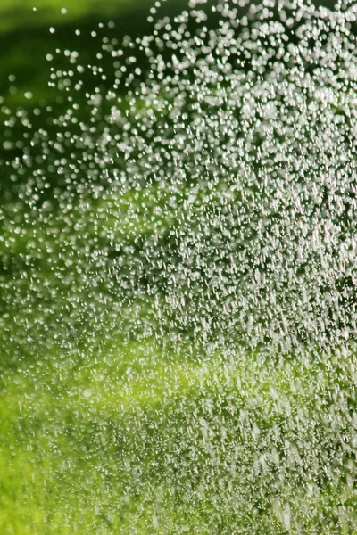 Sprinkler vattna gräsmattan — Stockfoto