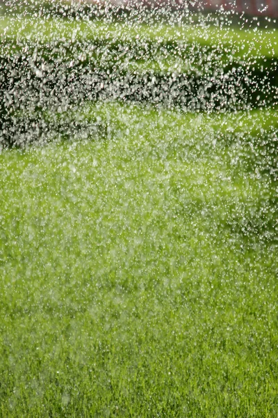スプリンクラーが芝生の水まき — ストック写真