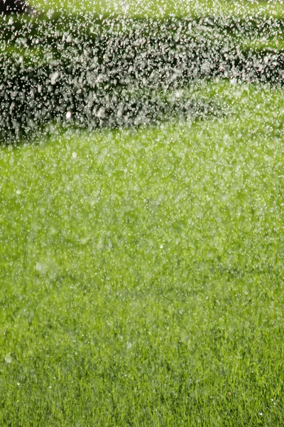 Sprinkler vattna gräsmattan — Stockfoto