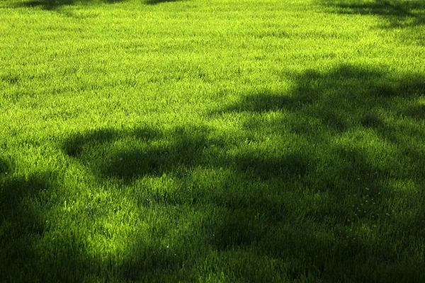 自动喷水灭火给草坪浇水 — 图库照片