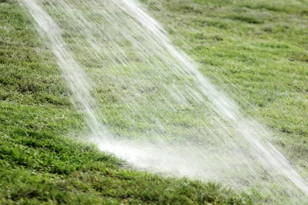 Sprinkler drenken het gazon — Stockfoto