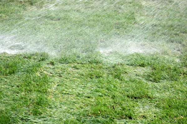 Aspersor regando o gramado — Fotografia de Stock