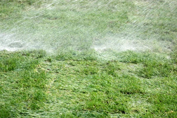 スプリンクラーが芝生の水まき — ストック写真