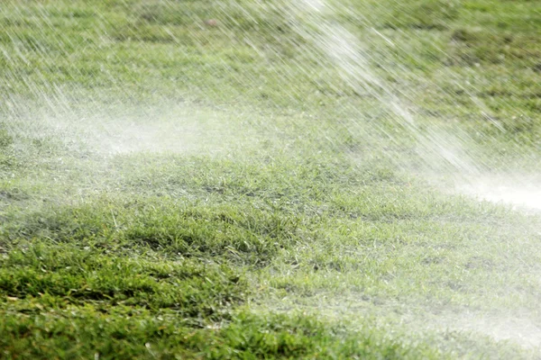 Спринклер поливає газон — стокове фото