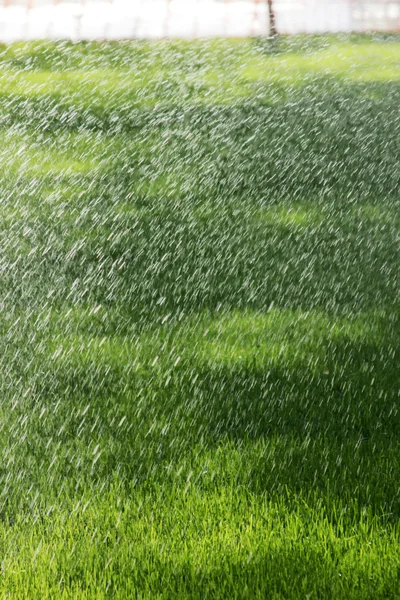 Sprinkler vattna gräsmattan — Stockfoto