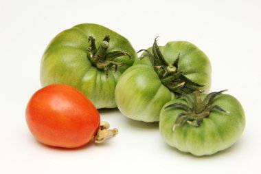 Tomato clipart