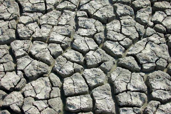 Terreno secco — Foto Stock