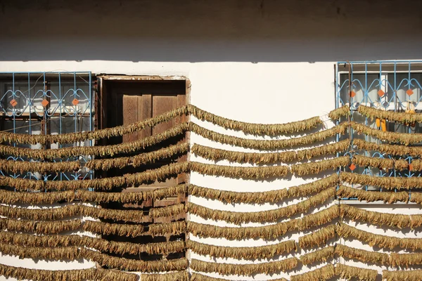 Dried tobacco — Stock Photo, Image