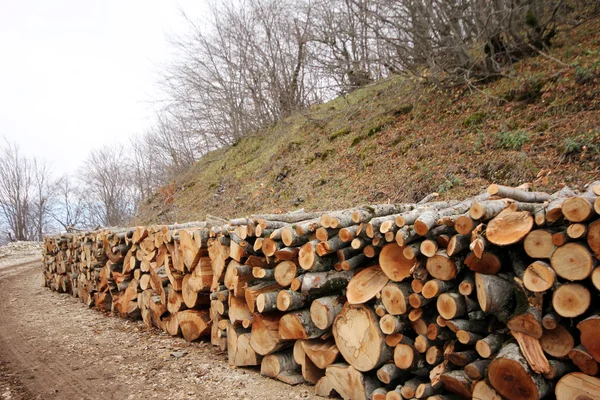 Zapasów drewna — Zdjęcie stockowe
