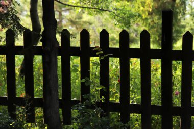 Doğaya açılan ahşap bir çit manzarası
