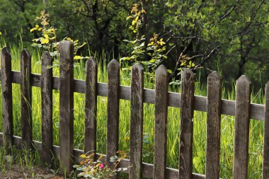 Doğaya açılan ahşap bir çit manzarası