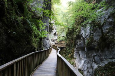 Horma Kanyonu, Kure Dağları Ulusal Parkı. Kastamonu, Türkiye.
