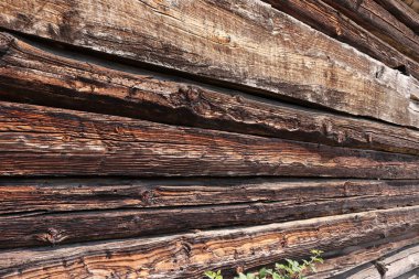 Ahşap doku doğal desenli. ahşap doku closeup