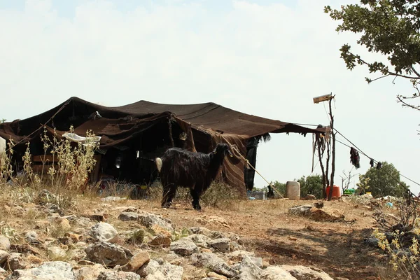 Nomadic tents from goat hair — Stock Photo, Image