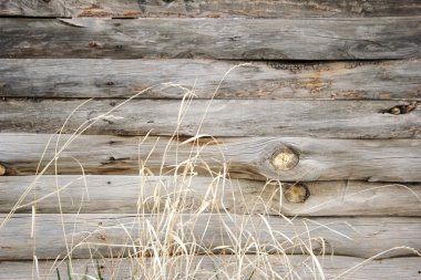 Eski dokulu ahşap arkaplan